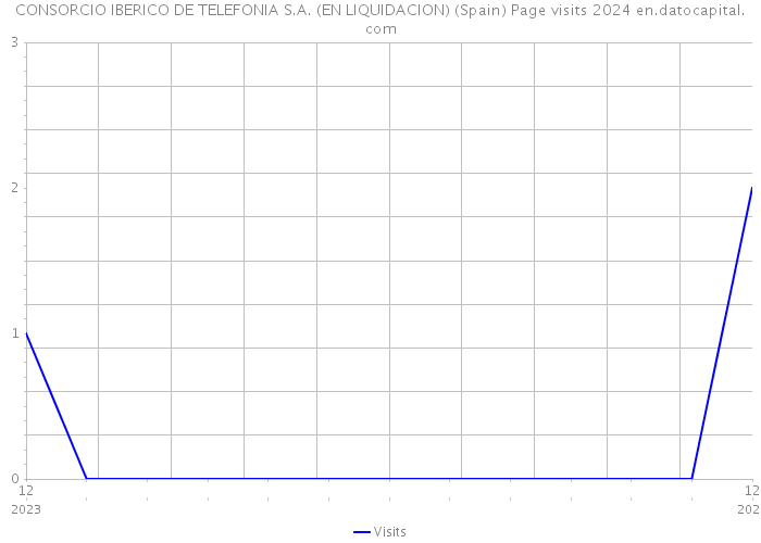 CONSORCIO IBERICO DE TELEFONIA S.A. (EN LIQUIDACION) (Spain) Page visits 2024 