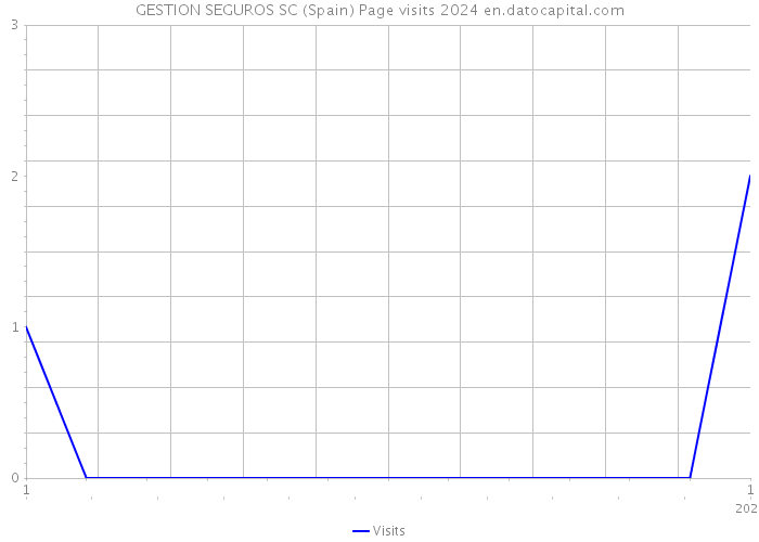 GESTION SEGUROS SC (Spain) Page visits 2024 