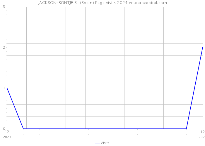 JACKSON-BONTJE SL (Spain) Page visits 2024 