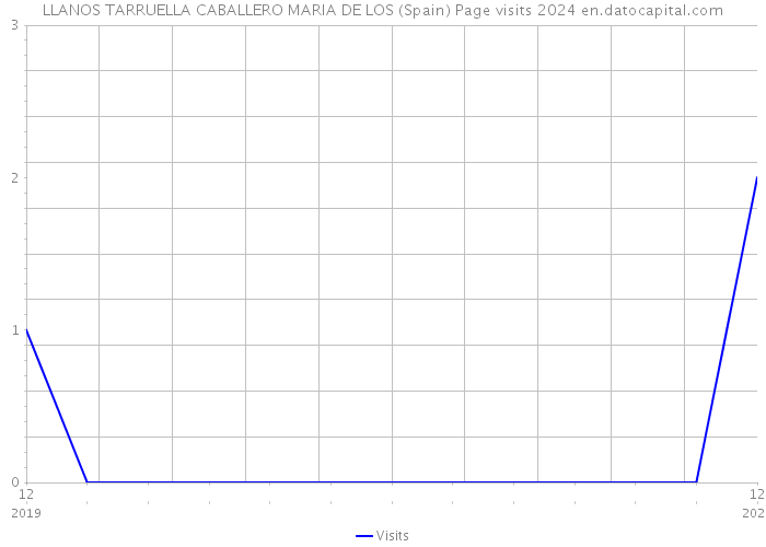 LLANOS TARRUELLA CABALLERO MARIA DE LOS (Spain) Page visits 2024 