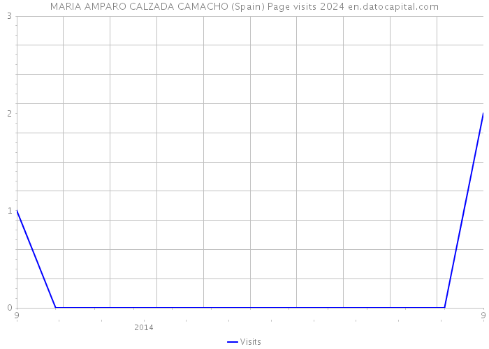 MARIA AMPARO CALZADA CAMACHO (Spain) Page visits 2024 