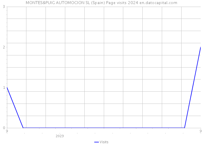 MONTES&PUIG AUTOMOCION SL (Spain) Page visits 2024 