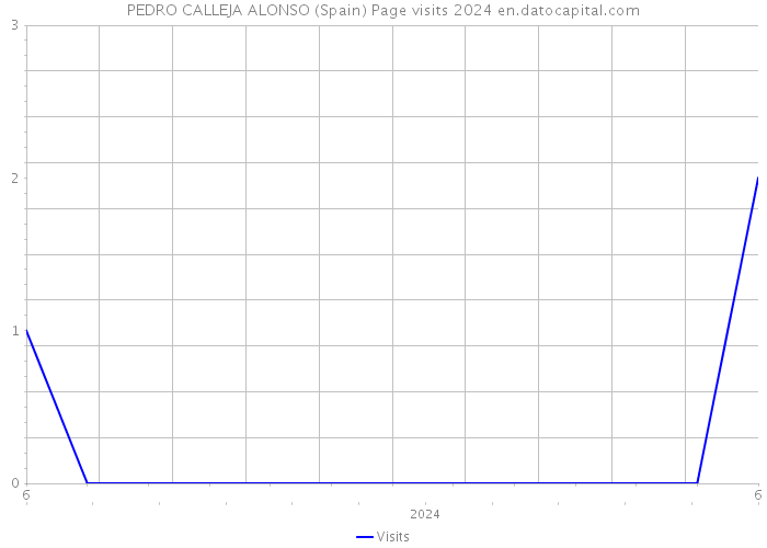 PEDRO CALLEJA ALONSO (Spain) Page visits 2024 