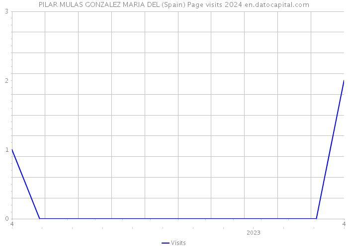 PILAR MULAS GONZALEZ MARIA DEL (Spain) Page visits 2024 