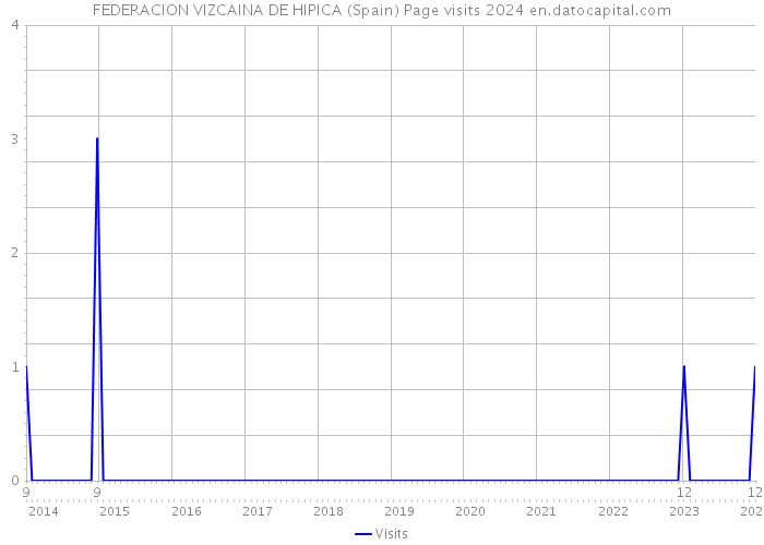 FEDERACION VIZCAINA DE HIPICA (Spain) Page visits 2024 