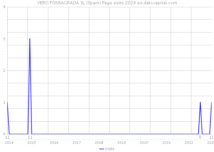 VERO FONSAGRADA SL (Spain) Page visits 2024 