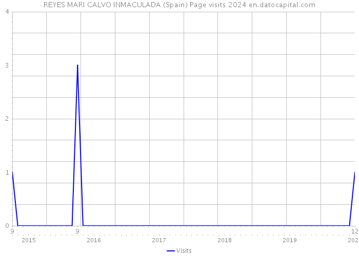 REYES MARI CALVO INMACULADA (Spain) Page visits 2024 
