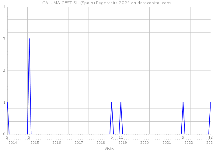 CALUMA GEST SL. (Spain) Page visits 2024 