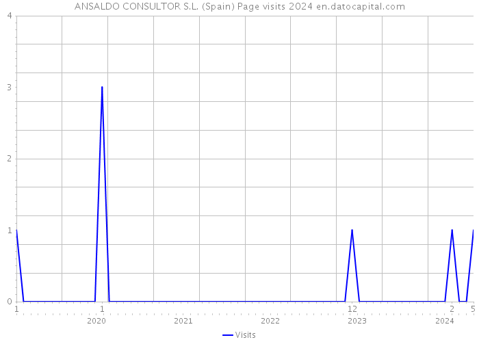 ANSALDO CONSULTOR S.L. (Spain) Page visits 2024 