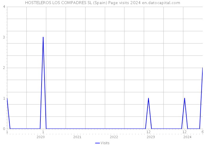 HOSTELEROS LOS COMPADRES SL (Spain) Page visits 2024 