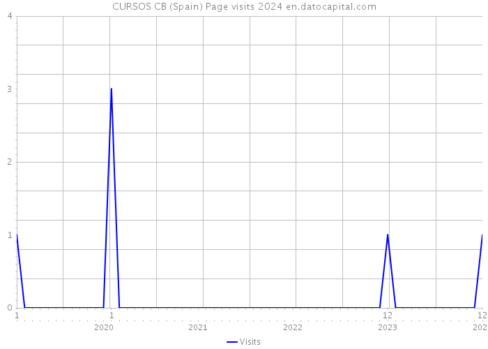 CURSOS CB (Spain) Page visits 2024 