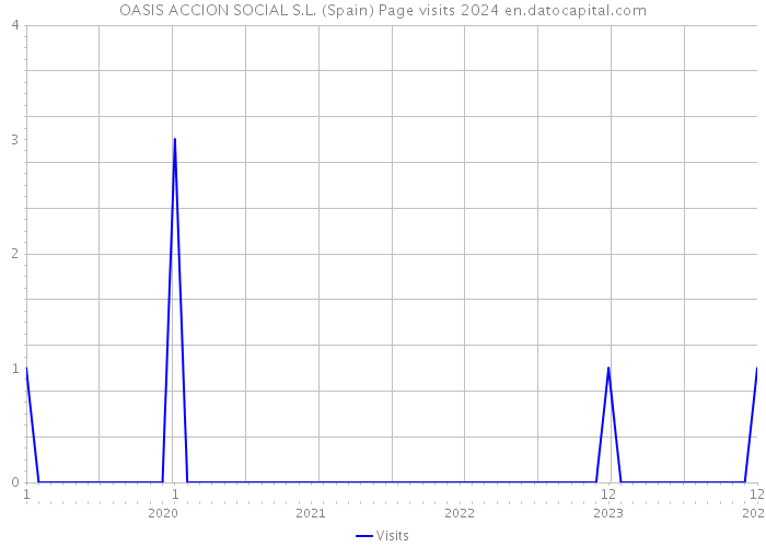 OASIS ACCION SOCIAL S.L. (Spain) Page visits 2024 