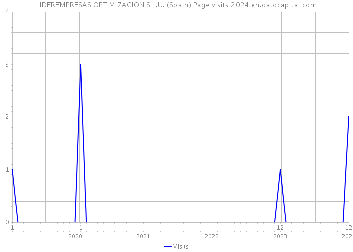 LIDEREMPRESAS OPTIMIZACION S.L.U. (Spain) Page visits 2024 