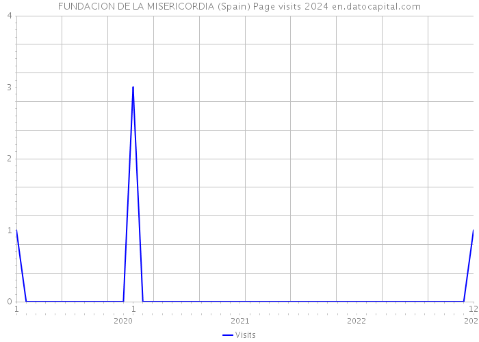 FUNDACION DE LA MISERICORDIA (Spain) Page visits 2024 