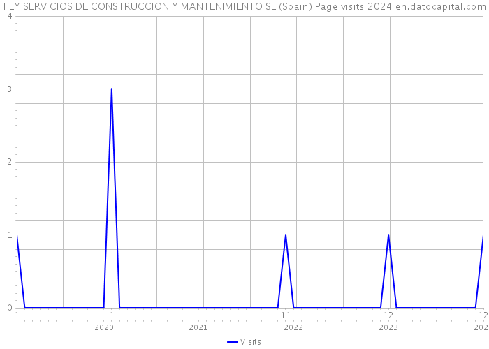 FLY SERVICIOS DE CONSTRUCCION Y MANTENIMIENTO SL (Spain) Page visits 2024 