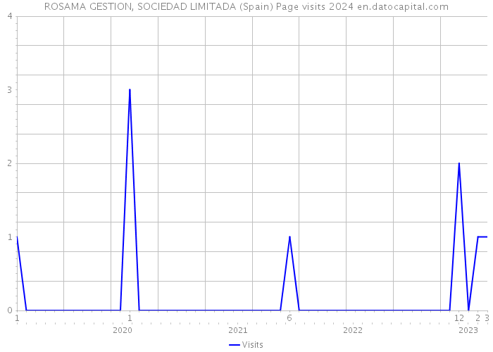 ROSAMA GESTION, SOCIEDAD LIMITADA (Spain) Page visits 2024 