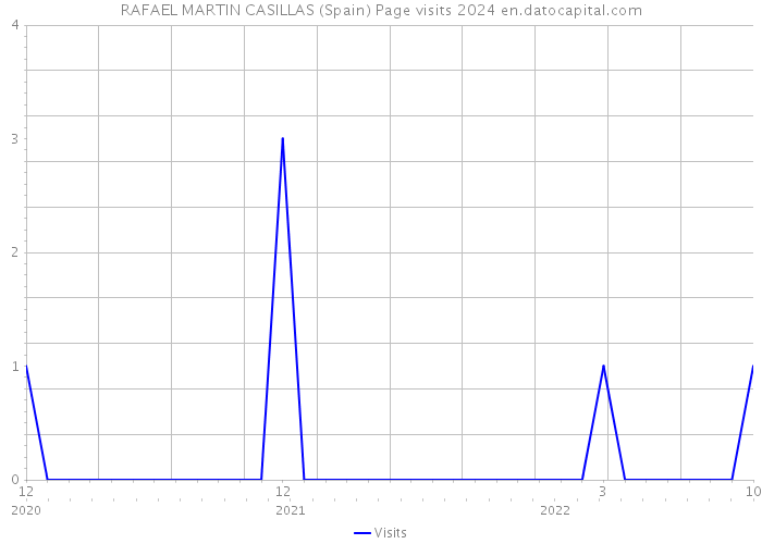 RAFAEL MARTIN CASILLAS (Spain) Page visits 2024 