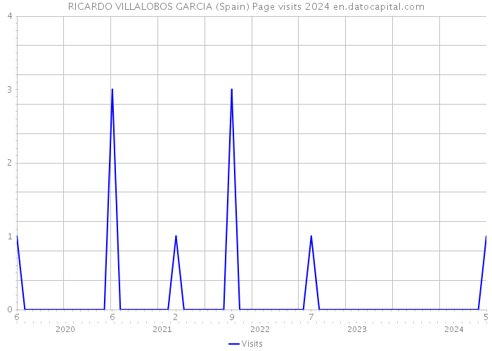 RICARDO VILLALOBOS GARCIA (Spain) Page visits 2024 
