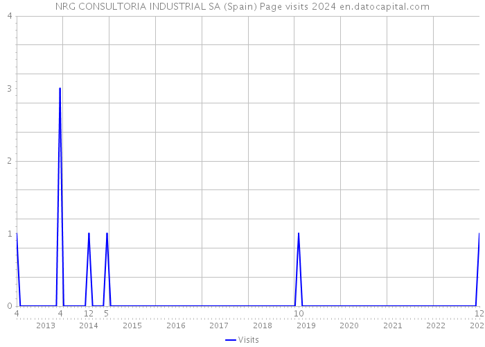 NRG CONSULTORIA INDUSTRIAL SA (Spain) Page visits 2024 
