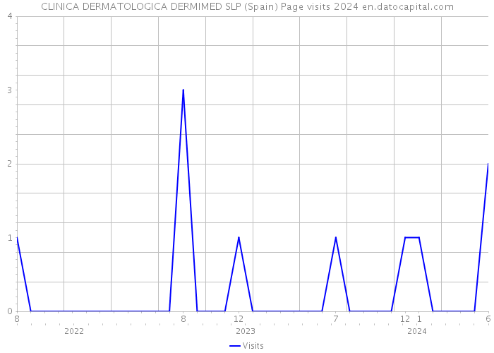 CLINICA DERMATOLOGICA DERMIMED SLP (Spain) Page visits 2024 