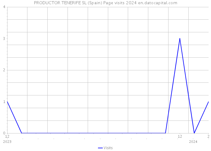 PRODUCTOR TENERIFE SL (Spain) Page visits 2024 