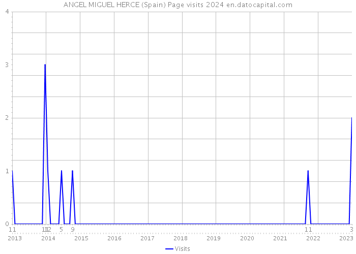 ANGEL MIGUEL HERCE (Spain) Page visits 2024 