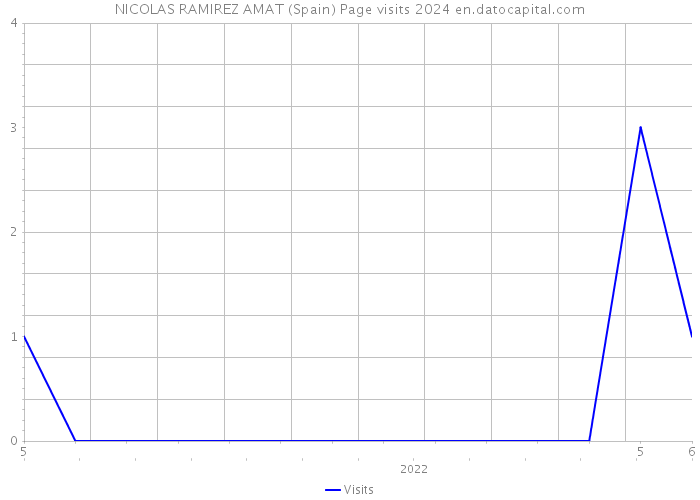 NICOLAS RAMIREZ AMAT (Spain) Page visits 2024 