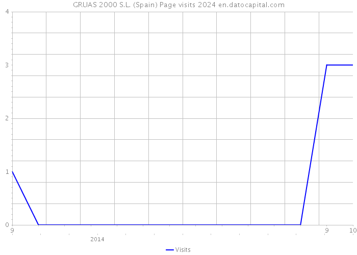 GRUAS 2000 S.L. (Spain) Page visits 2024 