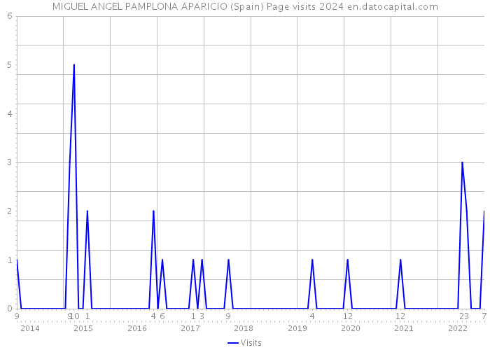 MIGUEL ANGEL PAMPLONA APARICIO (Spain) Page visits 2024 