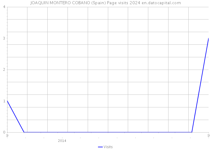 JOAQUIN MONTERO COBANO (Spain) Page visits 2024 