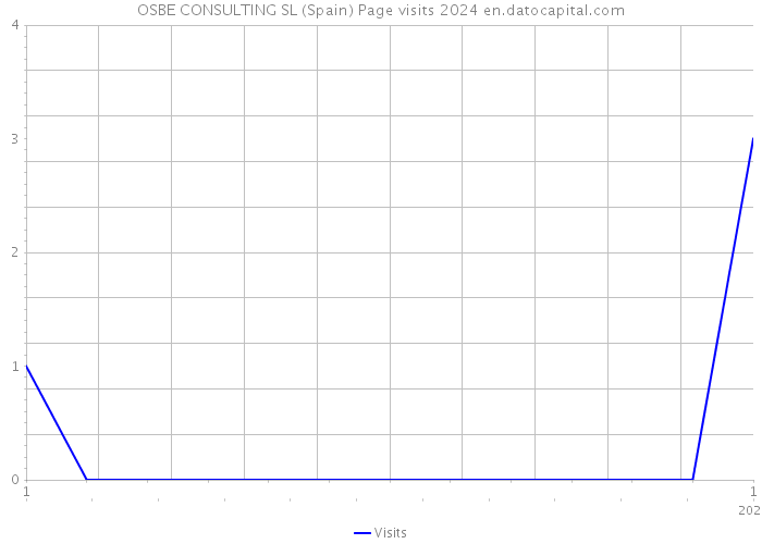 OSBE CONSULTING SL (Spain) Page visits 2024 