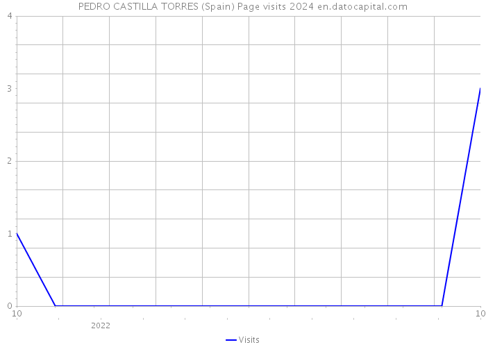 PEDRO CASTILLA TORRES (Spain) Page visits 2024 
