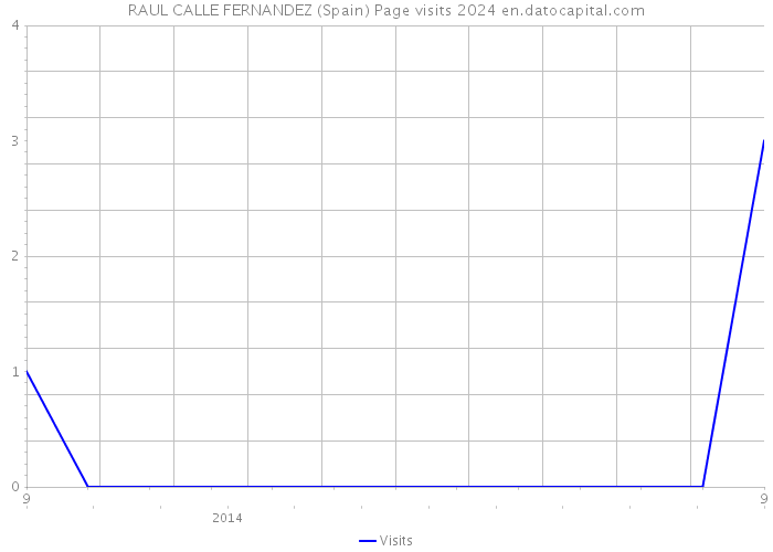 RAUL CALLE FERNANDEZ (Spain) Page visits 2024 