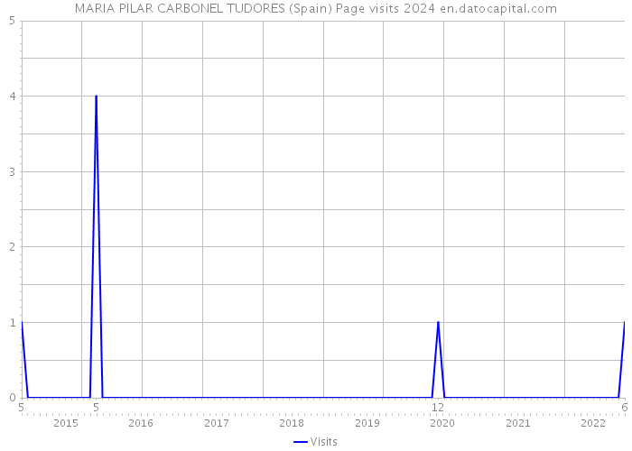 MARIA PILAR CARBONEL TUDORES (Spain) Page visits 2024 