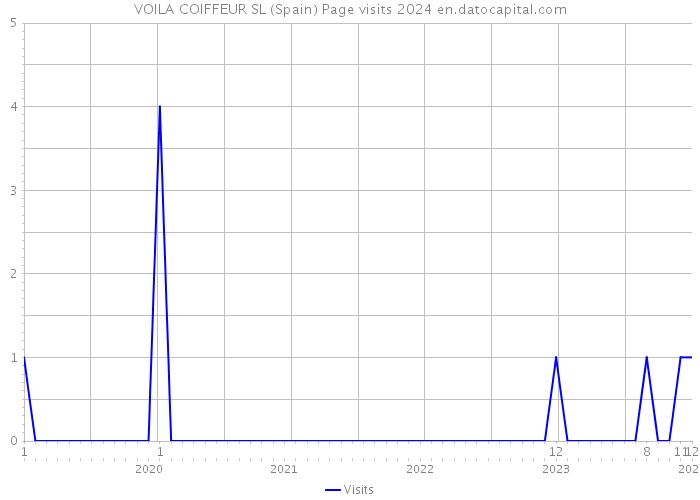 VOILA COIFFEUR SL (Spain) Page visits 2024 