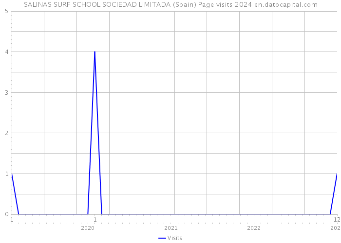 SALINAS SURF SCHOOL SOCIEDAD LIMITADA (Spain) Page visits 2024 