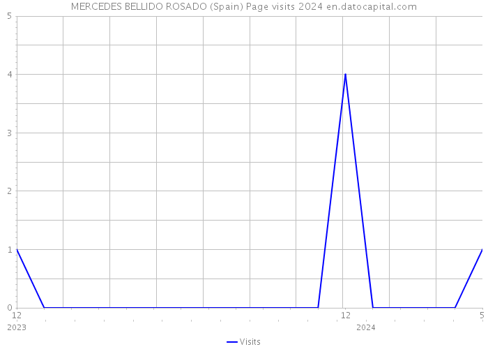 MERCEDES BELLIDO ROSADO (Spain) Page visits 2024 