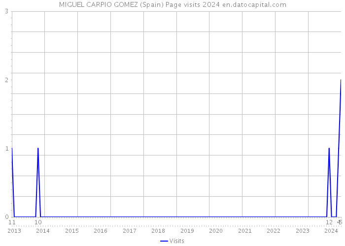 MIGUEL CARPIO GOMEZ (Spain) Page visits 2024 