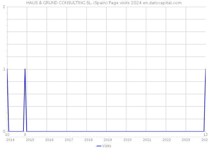 HAUS & GRUND CONSULTING SL. (Spain) Page visits 2024 