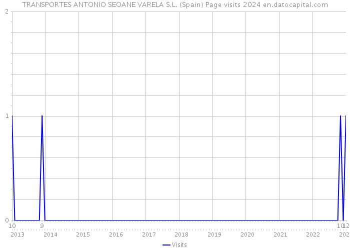 TRANSPORTES ANTONIO SEOANE VARELA S.L. (Spain) Page visits 2024 