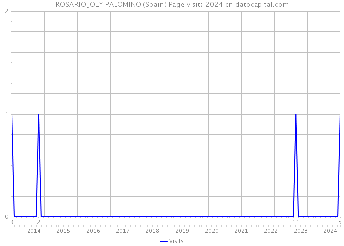 ROSARIO JOLY PALOMINO (Spain) Page visits 2024 