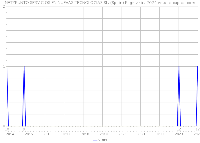 NETYPUNTO SERVICIOS EN NUEVAS TECNOLOGIAS SL. (Spain) Page visits 2024 