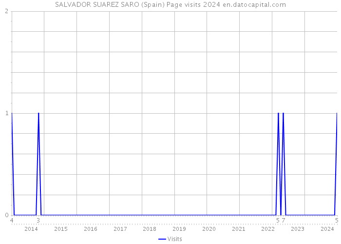 SALVADOR SUAREZ SARO (Spain) Page visits 2024 