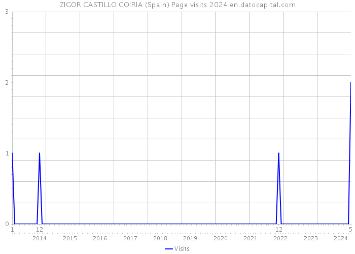 ZIGOR CASTILLO GOIRIA (Spain) Page visits 2024 