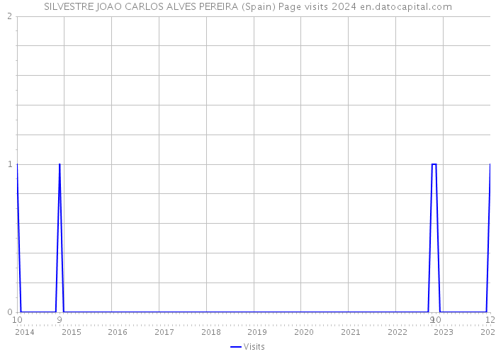 SILVESTRE JOAO CARLOS ALVES PEREIRA (Spain) Page visits 2024 