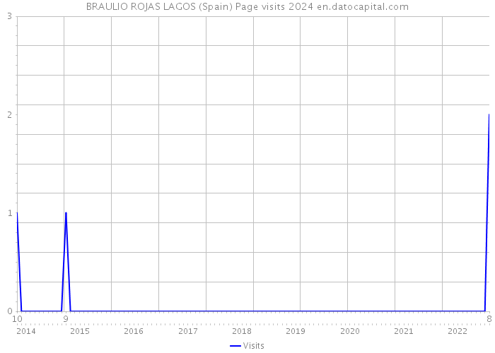 BRAULIO ROJAS LAGOS (Spain) Page visits 2024 