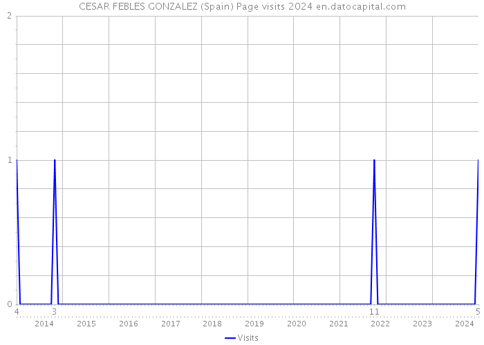 CESAR FEBLES GONZALEZ (Spain) Page visits 2024 