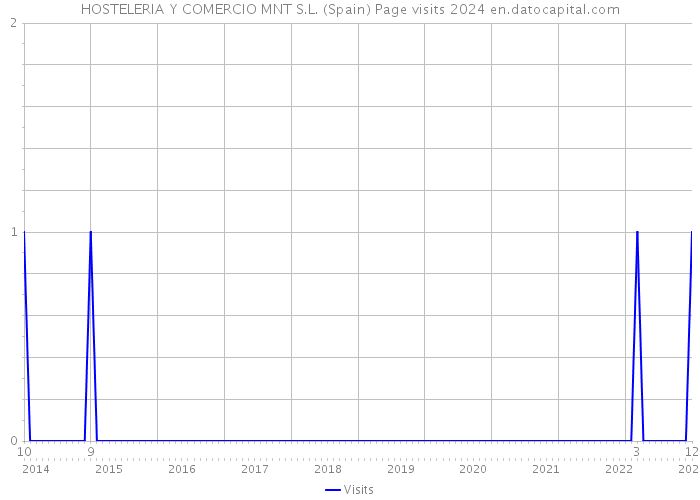 HOSTELERIA Y COMERCIO MNT S.L. (Spain) Page visits 2024 