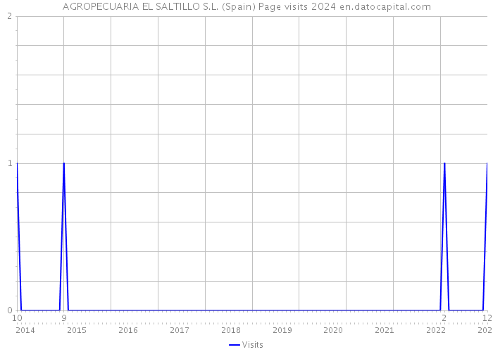 AGROPECUARIA EL SALTILLO S.L. (Spain) Page visits 2024 