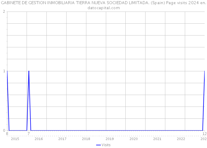 GABINETE DE GESTION INMOBILIARIA TIERRA NUEVA SOCIEDAD LIMITADA. (Spain) Page visits 2024 